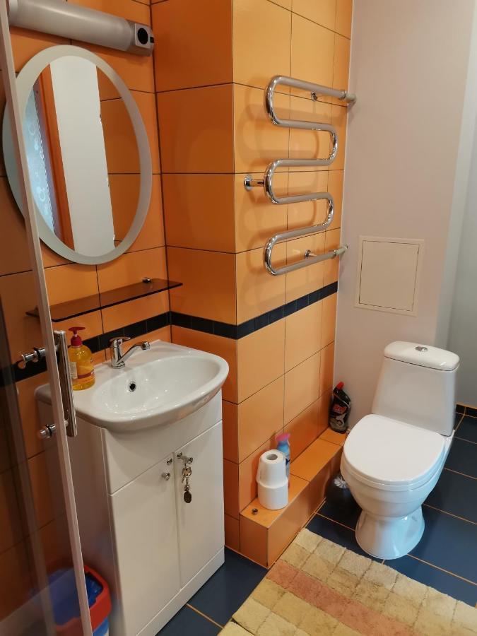 Sunny Apartment Kėdainiai Dış mekan fotoğraf